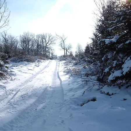 Family Sesterheim Comfortable