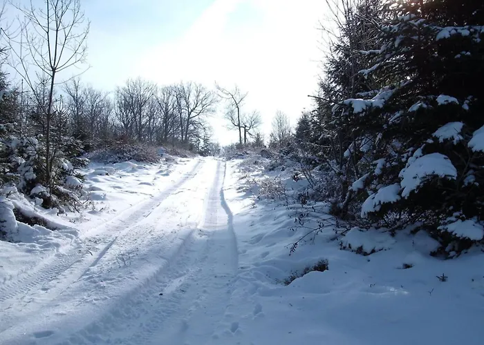 Family Sesterheim Comfortable